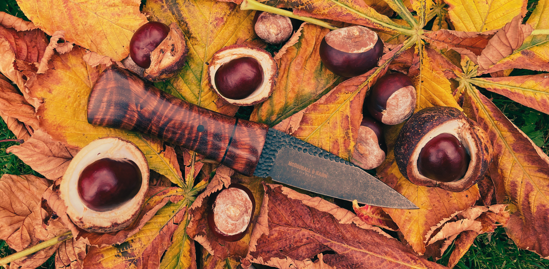 Scottish Conker Championship 2025.